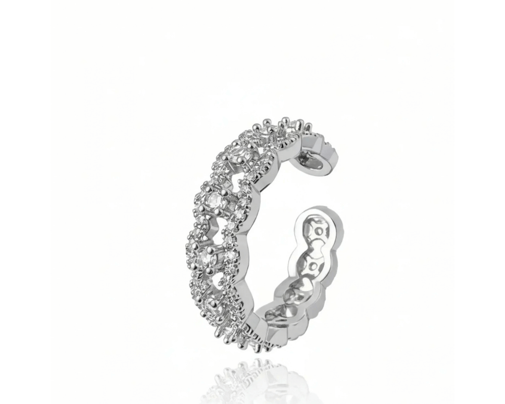 Anillos
